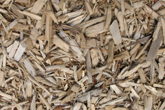 biomass boilers Landkey